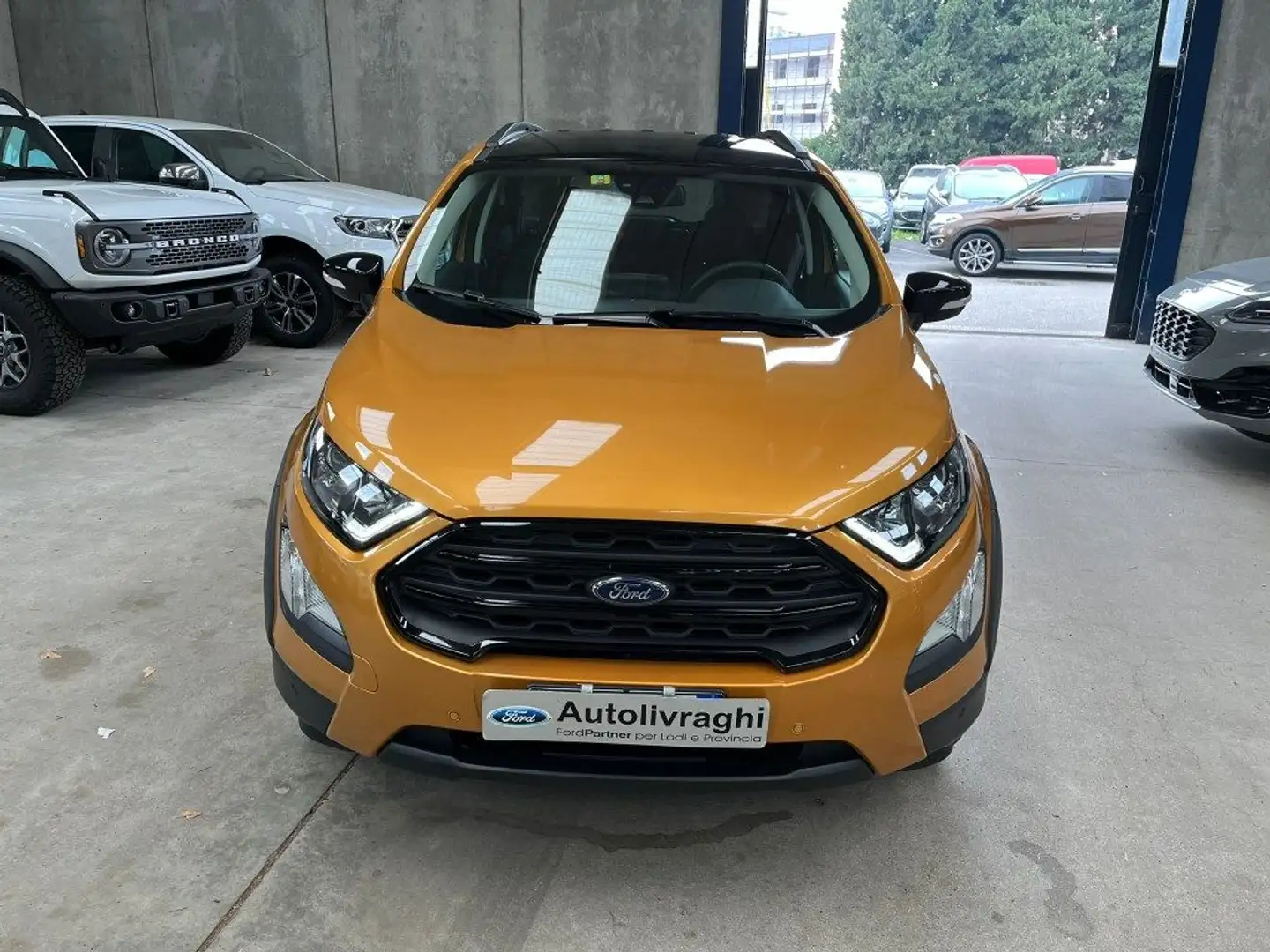 Ford EcoSport 1.0 EcoBoost 125 CV Start&Stop Active Arancione - 1