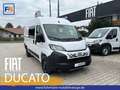 Fiat Ducato KASTENWAGEN 35 L2H2 140MT Weiß - thumbnail 1