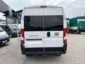 Fiat Ducato KASTENWAGEN 35 L2H2 140MT Weiß - thumbnail 4