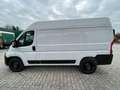 Fiat Ducato KASTENWAGEN 35 L2H2 140MT Weiß - thumbnail 9