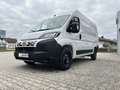 Fiat Ducato KASTENWAGEN 35 L2H2 140MT Weiß - thumbnail 12