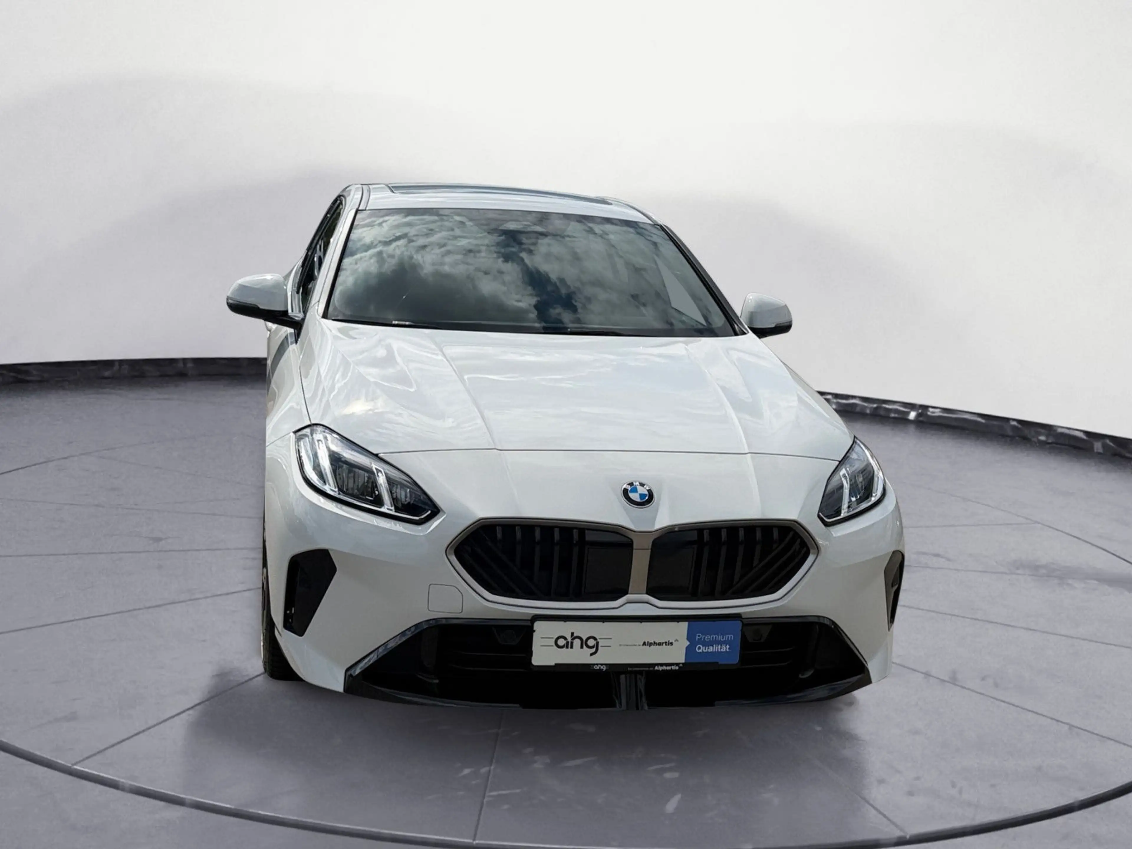 BMW 120 M Sport Navi Klima PDC Kamera AHK Panorama S — photo 10