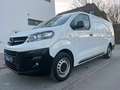 Opel Vivaro L Kasten Edition Lang L3 SORTIMO REGALE Wit - thumbnail 2