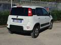 Fiat Panda 4x4 1.3 Mj  80 CV S&S 4 Posti - ELD CLIMA Bianco - thumbnail 3