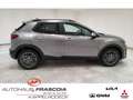 Kia Stonic Nightline Edition 1.0 T-GDI Mild-Hybrid Navi LED P Grau - thumbnail 4