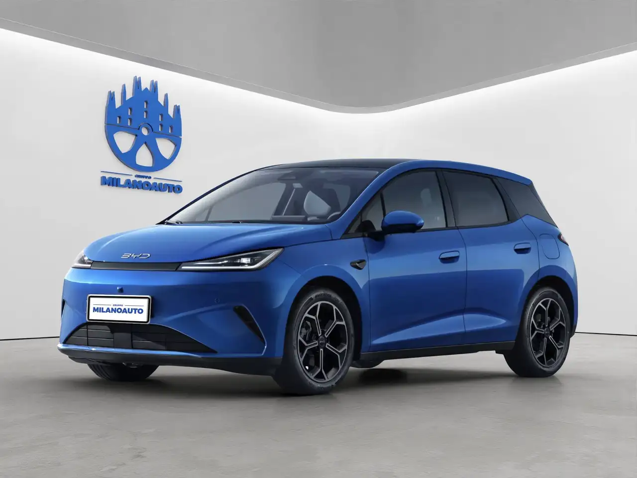 BYD Dolphin G