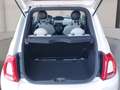 Fiat 500 FireFly Hybrid 70 Dolcevita Weiß - thumbnail 12