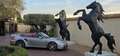 Porsche 911 Descapotable Automático de 2 Puertas Grau - thumbnail 27