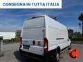 Fiat Ducato 35 3.0 CNG L4H3 MAXI METANO BENZINA-SENSORI- Blanco - thumbnail 7