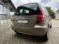 Mercedes-Benz A 170 Elegance*PDC*LM*Klima* Złoty - thumbnail 3