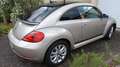 Volkswagen Beetle The Beetle 1.2 TSI DSG CUP - thumbnail 3