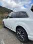 Audi Q7 Q7 55 TFSI e quattro tiptronic S line Weiß - thumbnail 16