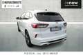 Ford Kuga 1.5 ecoblue ST-Line X 2wd 120cv auto Bianco - thumbnail 2