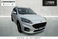 Ford Kuga 1.5 ecoblue ST-Line X 2wd 120cv auto Bianco - thumbnail 4