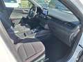 Ford Kuga 1.5 ecoblue ST-Line X 2wd 120cv auto Bianco - thumbnail 5