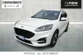 Ford Kuga 1.5 ecoblue ST-Line X 2wd 120cv auto Bianco - thumbnail 1