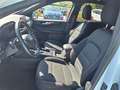 Ford Kuga 1.5 ecoblue ST-Line X 2wd 120cv auto Bianco - thumbnail 12