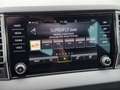 Skoda Karoq Selection TDI DSG Grau - thumbnail 16