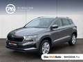Skoda Karoq Selection TDI DSG Grau - thumbnail 1