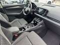 Skoda Karoq Selection TDI DSG Grau - thumbnail 7