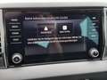 Skoda Karoq Selection TDI DSG Grau - thumbnail 12
