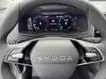Skoda Karoq Selection TDI DSG Grau - thumbnail 9