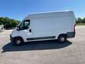 Citroen Jumper 33 L2H2 BLUEHDI 130CV - FK965NG Bianco - thumbnail 9