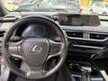 Lexus UX 250h Style Edition Schwarz - thumbnail 16