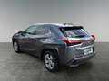 Lexus UX 250h Style Edition Schwarz - thumbnail 3