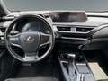 Lexus UX 250h Style Edition Schwarz - thumbnail 10
