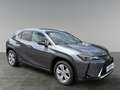 Lexus UX 250h Style Edition Schwarz - thumbnail 7