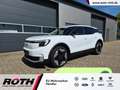 Ford Explorer Limited Edition 79kWh *Navi*LED*AHK*ACC Weiß - thumbnail 1