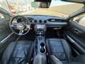 Ford Mustang FASTBACK 5.0 V8 450ch GT BVA10 Schwarz - thumbnail 8