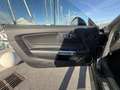 Ford Mustang FASTBACK 5.0 V8 450ch GT BVA10 Schwarz - thumbnail 16