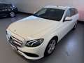 Mercedes-Benz E 220 D T-MOD*AUT.*F1*T-LEDER*PANO*TEL*NAVI*LED* Blanc - thumbnail 3