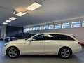 Mercedes-Benz E 220 D T-MOD*AUT.*F1*T-LEDER*PANO*TEL*NAVI*LED* Blanc - thumbnail 9