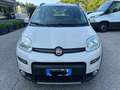 Fiat Panda Panda - thumbnail 2