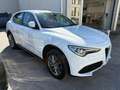 Alfa Romeo Stelvio Super Q4 Weiß - thumbnail 3