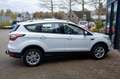 Ford Kuga 1.5 EcoBoost Titanium|Prijs rijklaar incl. 12 mnd Wit - thumbnail 14