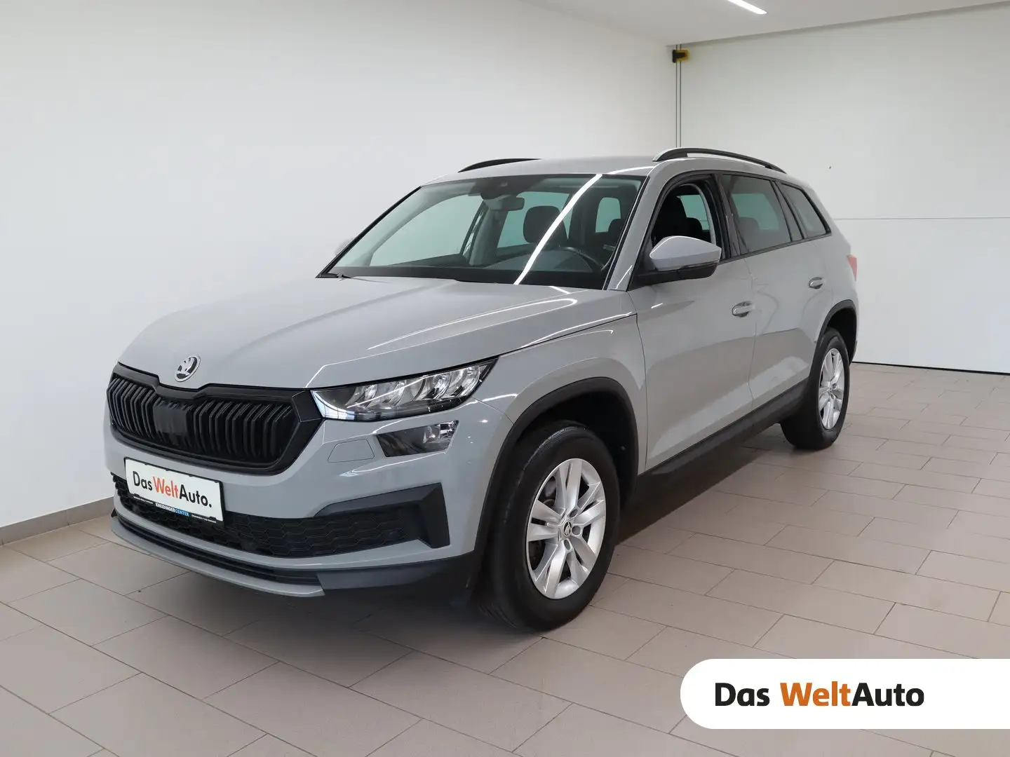 Skoda Kodiaq 4x4 Style SC TDI DSG Grau - 1