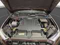 Audi Q7 50 TDI qu. S line 7-Sitzer AHK Pano LM 22" B& Braun - thumbnail 23