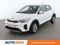 Kia Stonic 1.6 CRDi Titan *SZH*AHK*KLIMA* Weiß - thumbnail 1