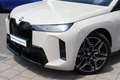 BMW iX xDrive60 M Sport / Panoramadak Sky Lounge / M Mult Gris - thumbnail 3