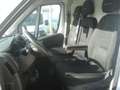 Fiat Ducato Hochr.-Kasten 33 120 L2H2 49840Km Klima Weiß - thumbnail 2