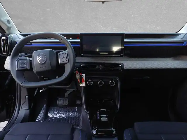 Citroen E-C3 view 6