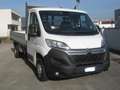 Citroen Jumper 35 L4 2.0 HDi 160CV Cassone 4,30 Mt Blanc - thumbnail 2