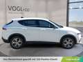 Alfa Romeo Tonale Tonale Ibrida Weiß - thumbnail 8