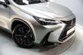 Lexus NX 350h Executive 4WD Gris - thumbnail 12