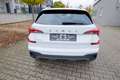 Skoda Kamiq 1.0 TSI DSG Selection Kame/SH/PDC/ALU Wit - thumbnail 8