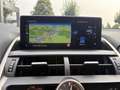Lexus NX 300h Nx300h Weiß - thumbnail 18